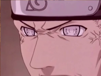 /album/neji-hyuga/segredo%20do%20cl%c3%a3%20hyuga-png/